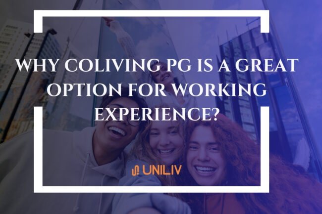 Why Co-Living PG Is a Great Option for Working Professionals