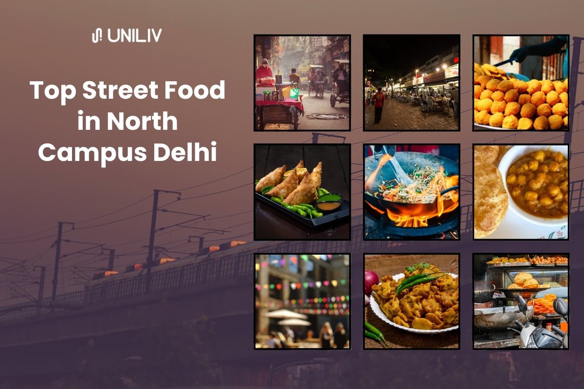 Top Street Food in North Campus Delhi