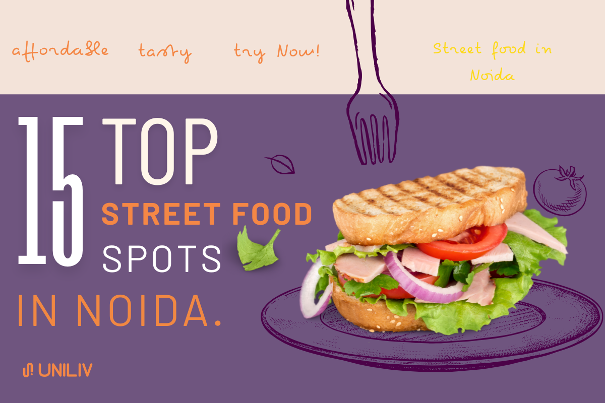 Best Street Food Spots in Noida for College Students